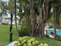 -海南清水湾莱佛士酒店