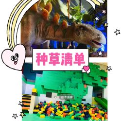 -恐龙探索乐园(磁器口店)