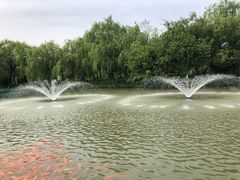 景点-白塔湖国家湿地公园