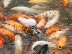 -上海方塔园