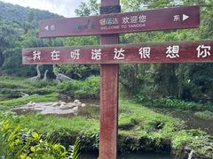 -呀诺达热带雨林