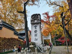 -灵谷景区