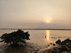 -宝安西湾红树林湿地公园