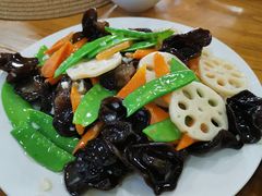 -小叶大馅饺子城