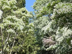 -国家植物园南园