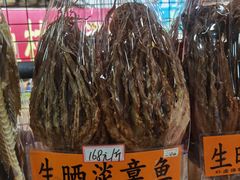 -大湾区中央湿地公园-十九涌