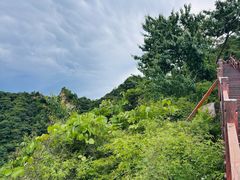 -大岭沟猕猴桃谷风景区