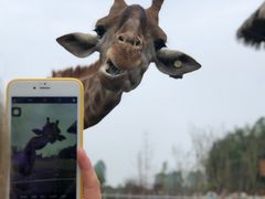 -黄龙溪欢乐田园