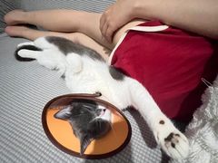 -御宝贝·A梦猫科宠物医院(国际猫友好医院)