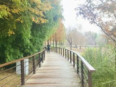 -沐仙湖湿地公园