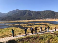 -腾冲北海湿地