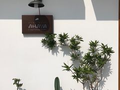 -AHAVA·Fang Baking Studio