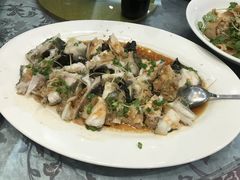 清蒸生猛开刀龙趸-新兴家喻酒家·羊城名宴(昌岗店)