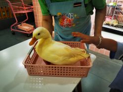 -Moni星球萌宠·小马宝莉·灵蛇·高端高阶全萌宠互动体验俱乐部(红豆国际广场店)