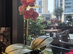 -OGGI TRATTORIA PIZZERIA(深业上城店)