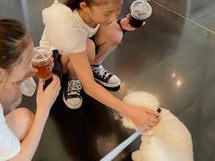-成都安仁福朋喜来登酒店