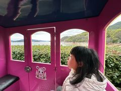 -羡餐厅-千岛湖自由洲际殿