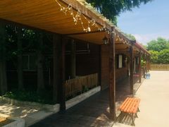 -长兴岛郊野公园农场食堂