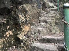 -南山植物园