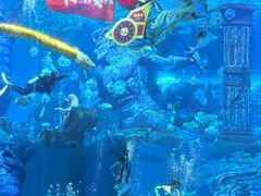 -哈尔滨波塞冬海底世界