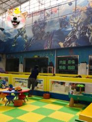 -爱丽丝奇幻乐园