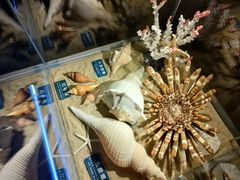 -梦幻海洋王国(吾悦广场张家港店)