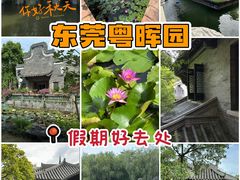 -粤晖园