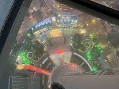 -东方明珠广播电视塔