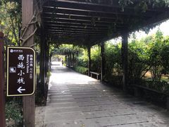 -白马涧龙池景区