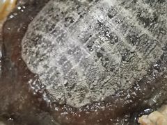 -米果果小镇