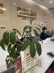-四川娇点医学美容医院