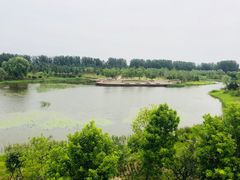 -东郊湿地公园