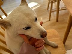 -柴の食堂·日式家庭料理·熊之肆(大学路店)