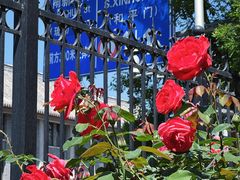 -北京师范大学附属中学