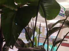 -旺顺阁鱼头泡饼(常营店)