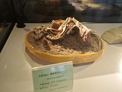 -房山世界地质公园博物馆