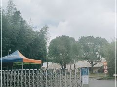 -新江湾城公园