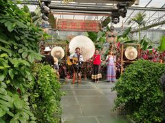 -北京呀路古热带植物园