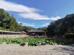 -恭王府博物馆