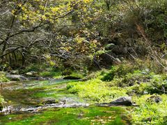 -玉渡山自然风景区