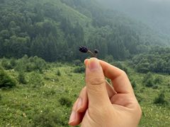 -驼梁风景区