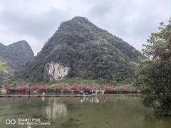-靖西鹅泉风景区