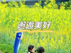 -光明小镇欢乐田园