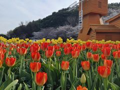 -苏州上方山国家森林公园