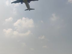 -空港花田景区