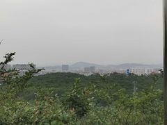 -聚龙山公园