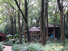 -同里国家湿地公园