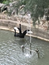 -虹桥迎宾馆·宴会厅