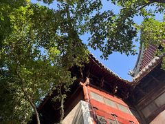 -秋霞圃