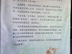 -苏州文庙(姑苏区)